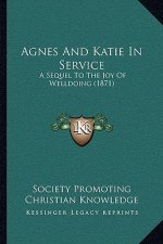 Agnes And Katie In Service: A Sequel To The Joy Of Welldoing (1871)