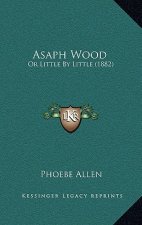 Asaph Wood: Or Little By Little (1882)
