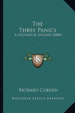 The Three Panics: A Historical Episode (1884)