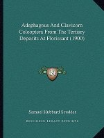 Adephagous And Clavicorn Coleoptera From The Tertiary Deposits At Florissant (1900)