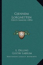 Gjennem Lorgnetten: Forste Samling (1896)