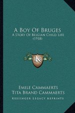 A Boy Of Bruges: A Story Of Belgian Child Life (1918)