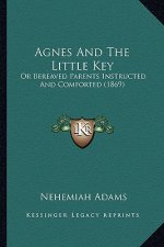 Agnes And The Little Key: Or Bereaved Parents Instructed And Comforted (1869)
