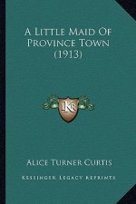 A Little Maid Of Province Town (1913)