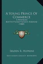 A Young Prince Of Commerce: A Penniless Boy's Fortune (1888)