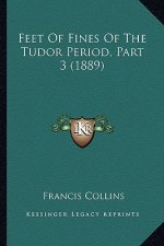 Feet Of Fines Of The Tudor Period, Part 3 (1889)