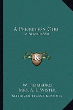 A Penniless Girl: A Novel (1884)