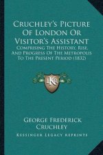 Cruchley's Picture Of London Or Visitor's Assistant: Comprising The History, Rise, And Progress Of The Metropolis To The Present Period (1832)