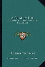 A Deadly Foe: A Romance Of The Northern Seas (1895)