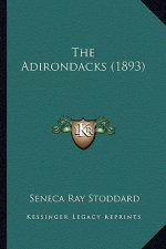 The Adirondacks (1893)