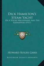 Dick Hamilton's Steam Yacht: Or A Young Millionaire And The Kidnappers (1911)