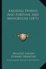 Amusing Stories And Fortune And Misfortune (1871)