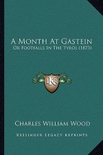 A Month At Gastein: Or Footfalls In The Tyrol (1873)