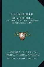 A Chapter Of Adventures: Or Through The Bombardment Of Alexandria (1891)
