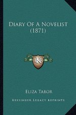 Diary Of A Novelist (1871)