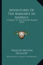 Adventures Of The Barnabys In America: A Sequel To The Widow Baraby (1859)