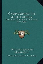 Campaigning In South Africa: Reminiscences Of An Officer In 1879 (1880)