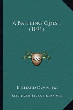 A Baffling Quest (1891)