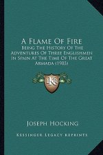 A Flame Of Fire: Being The History Of The Adventures Of Three Englishmen In Spain At The Time Of The Great Armada (1903)
