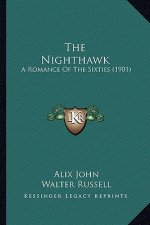 The Nighthawk: A Romance Of The Sixties (1901)
