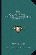 The Ocean Waifs: A Story Of Adventure On Land And Sea (1865)