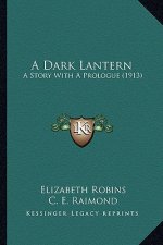 A Dark Lantern: A Story With A Prologue (1913)