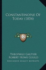 Constantinople Of Today (1854)