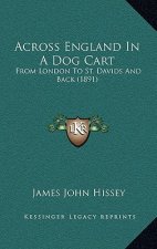 Across England In A Dog Cart: From London To St. Davids And Back (1891)