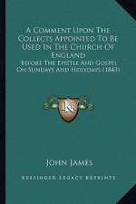 A Comment Upon The Collects Appointed To Be Used In The Church Of England: Before The Epistle And Gospel On Sundays And Holydays (1843)