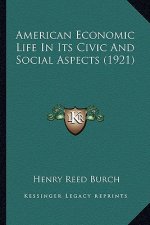 American Economic Life In Its Civic And Social Aspects (1921)