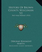 History Of Brown County, Wisconsin V2: Past And Present (1913)