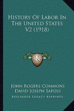 History Of Labor In The United States V2 (1918)