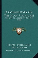 A Commentary On The Holy Scriptures: The Gospel According To John (1900)