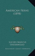 American Ferns (1898)