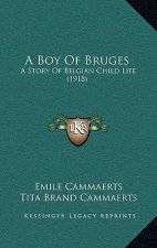 A Boy Of Bruges: A Story Of Belgian Child Life (1918)