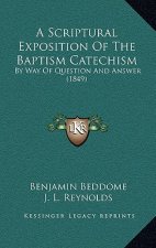 A Scriptural Exposition Of The Baptism Catechism: By Way Of Question And Answer (1849)