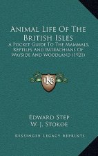 Animal Life Of The British Isles: A Pocket Guide To The Mammals, Reptiles And Batrachians Of Wayside And Woodland (1921)