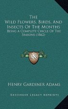 The Wild Flowers, Birds, And Insects Of The Months: Being A Complete Circle Of The Seasons (1862)