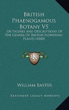 British Phaenogamous Botany V5: Or Figures And Descriptions Of The Genera Of British Flowering Plants (1840)