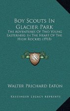 Boy Scouts In Glacier Park: The Adventures Of Two Young Easterners In The Heart Of The High Rockies (1918)