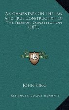 A Commentary On The Law And True Construction Of The Federal Constitution (1871)