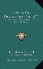 A View Of Devonshire In 1630: With A Pedigree Of Most Of Its Gentry (1845)
