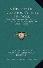 A History Of Livingston County, New York: From Its Earliest Traditions, To Its Part In The War For Our Union (1876)
