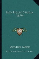 Mio Figlio Studia (1879)
