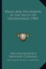 Walks And Excursions In The Valley Of Grindelwald (1900)