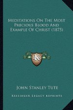 Meditations On The Most Precious Blood And Example Of Christ (1875)