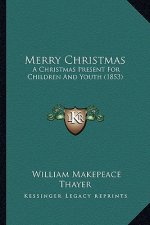 Merry Christmas: A Christmas Present For Children And Youth (1853)