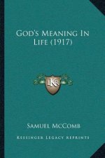 God's Meaning In Life (1917)