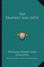 The Trapper's Son (1873)