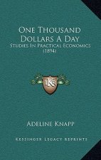 One Thousand Dollars A Day: Studies In Practical Economics (1894)